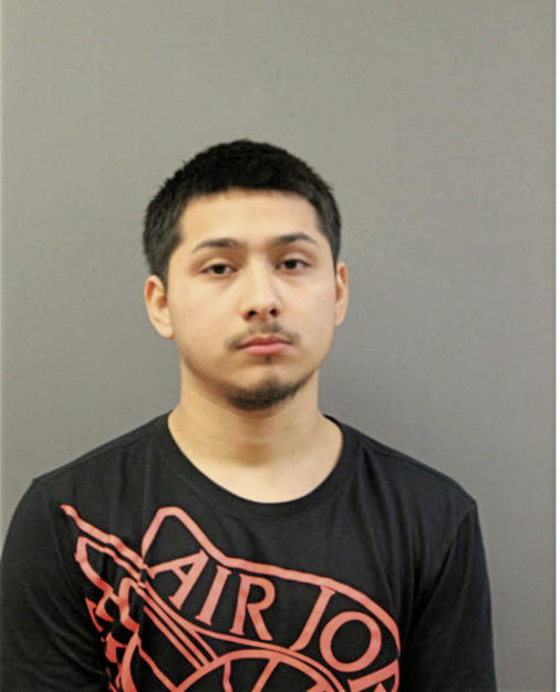 JULIAN PEREZ, Cook County, Illinois