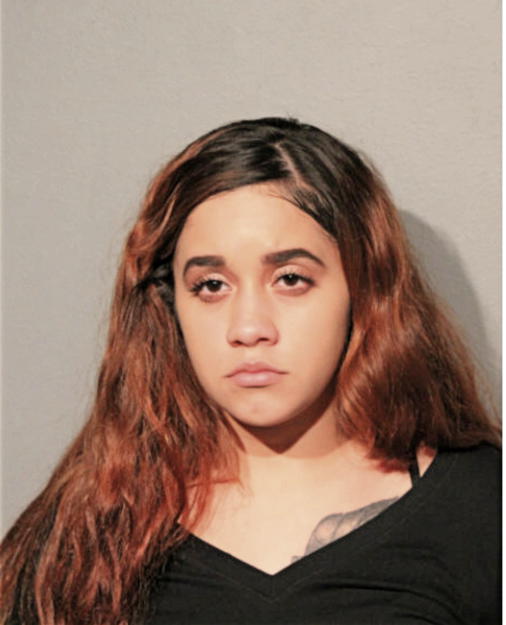 ARIANA I PRECIADO, Cook County, Illinois