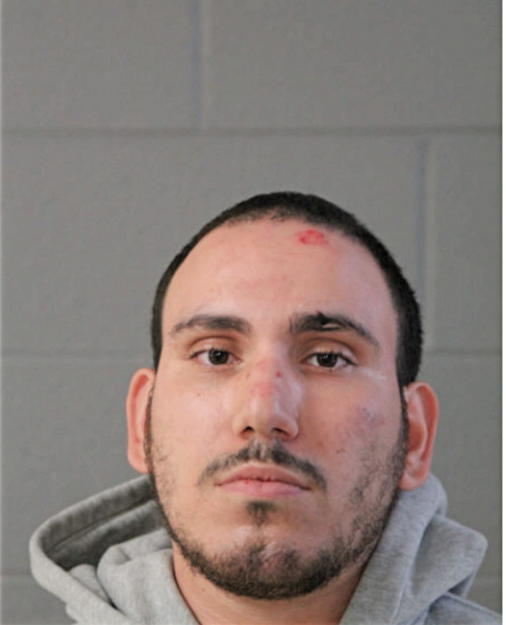 PIOTR SKOCZYK, Cook County, Illinois
