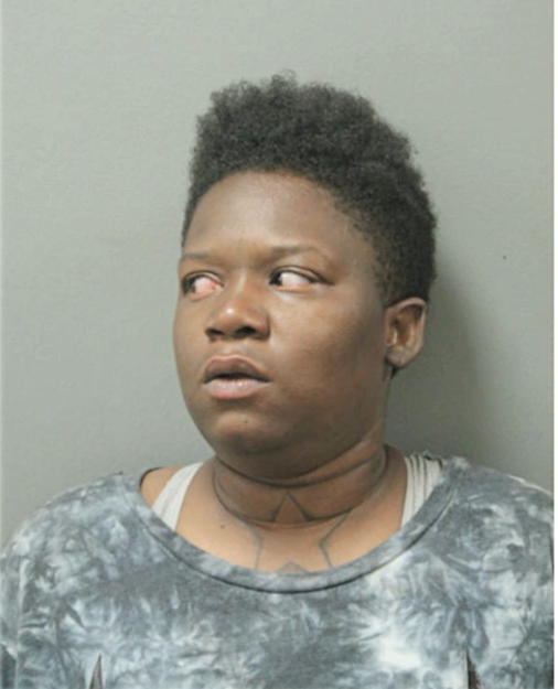 DAPHNE H STARK, Cook County, Illinois