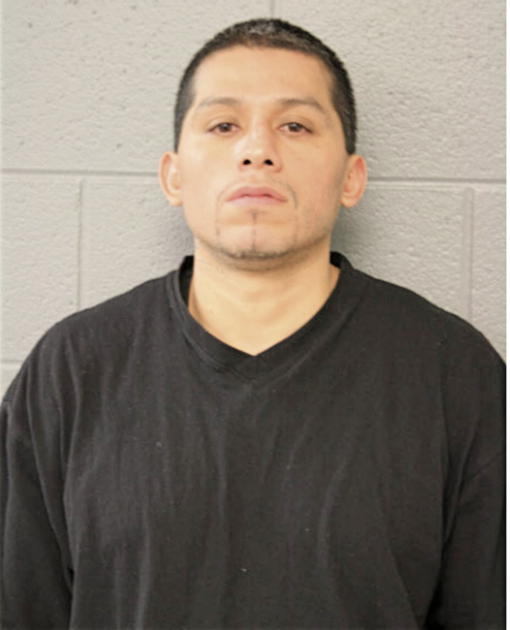 LUIS TORRES, Cook County, Illinois