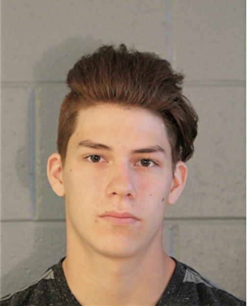 ROMAN R VASQUEZ, Cook County, Illinois