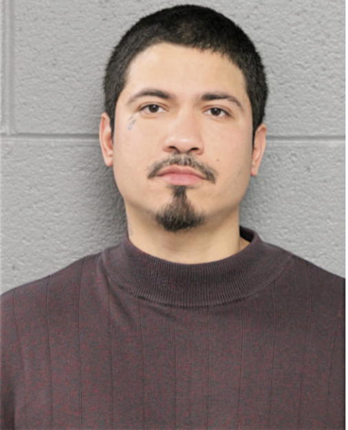 EDGAR VIGIL, Cook County, Illinois