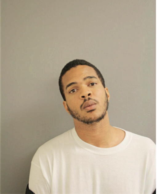 BRANDON M WHITE, Cook County, Illinois