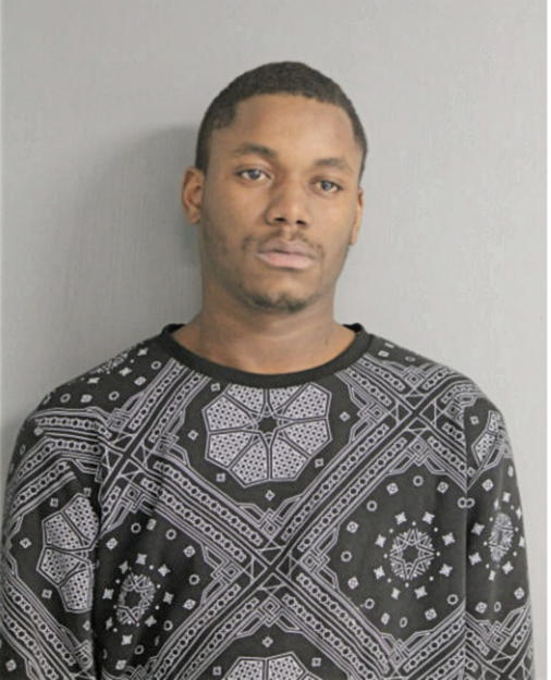 DEVON L WHITE, Cook County, Illinois