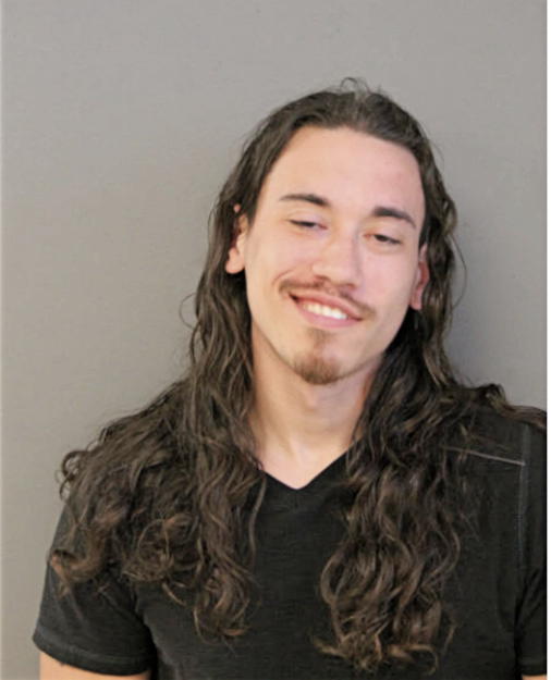 ZACHARY J WOELFEL, Cook County, Illinois