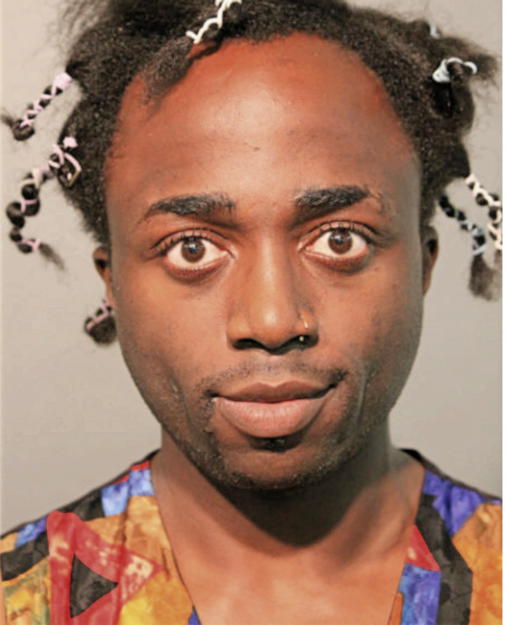 MICHAEL ADENIYI, Cook County, Illinois
