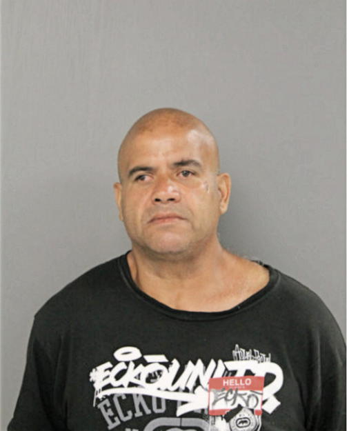 HECTOR L CRUZ, Cook County, Illinois