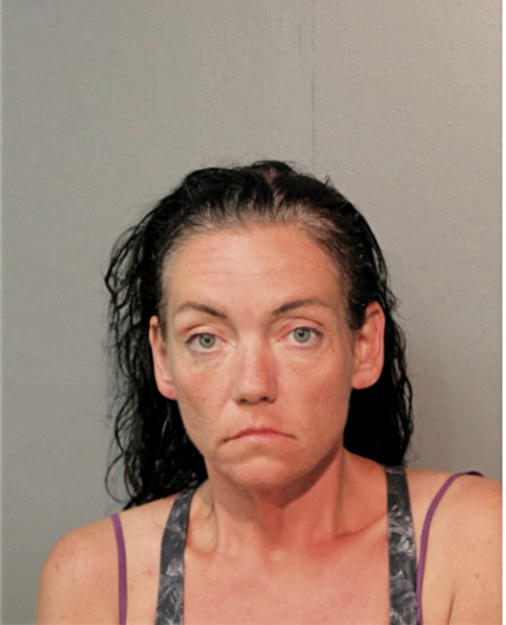 MICHELLE L DEE, Cook County, Illinois