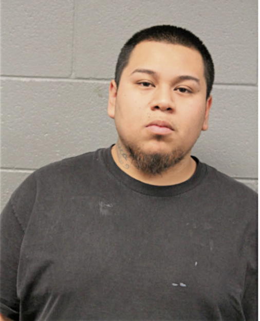 ALFREDO ESTEFANIA, Cook County, Illinois