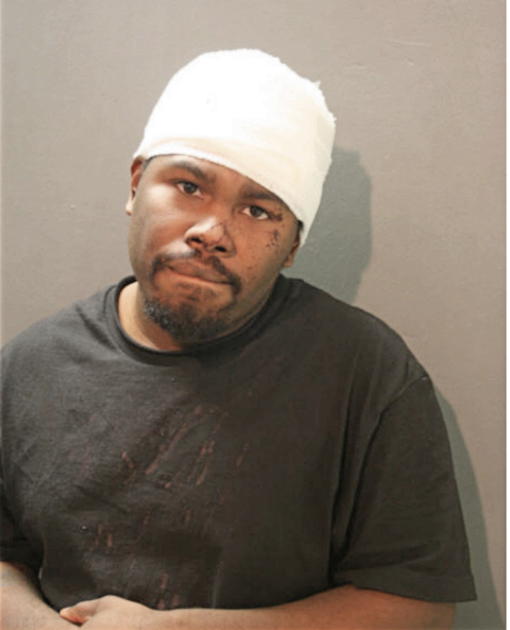 MICHAEL A FINLEY, Cook County, Illinois