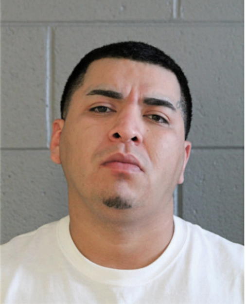 VICTOR H FLORES, Cook County, Illinois