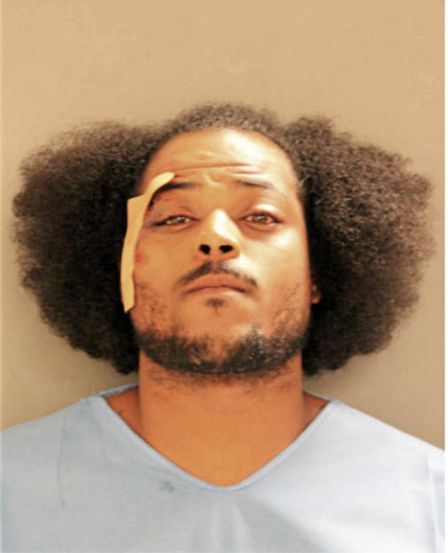 BRANDON N FREEMAN, Cook County, Illinois