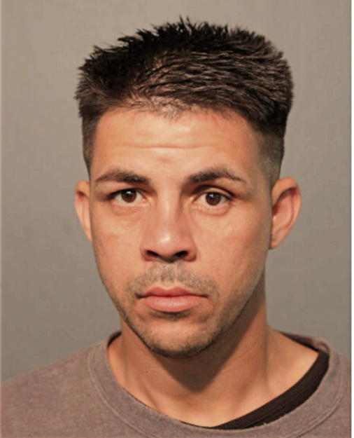 DANIEL GOMEZ-SOTO, Cook County, Illinois