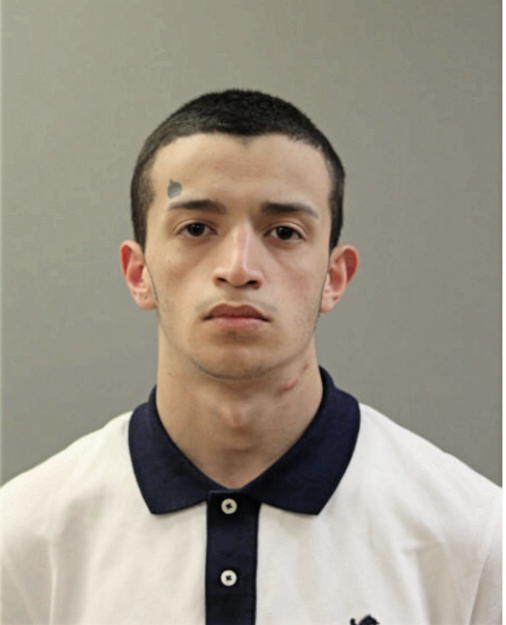 MANUEL E GONZALEZ, Cook County, Illinois