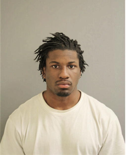 LOUIS P HAMPTON, Cook County, Illinois