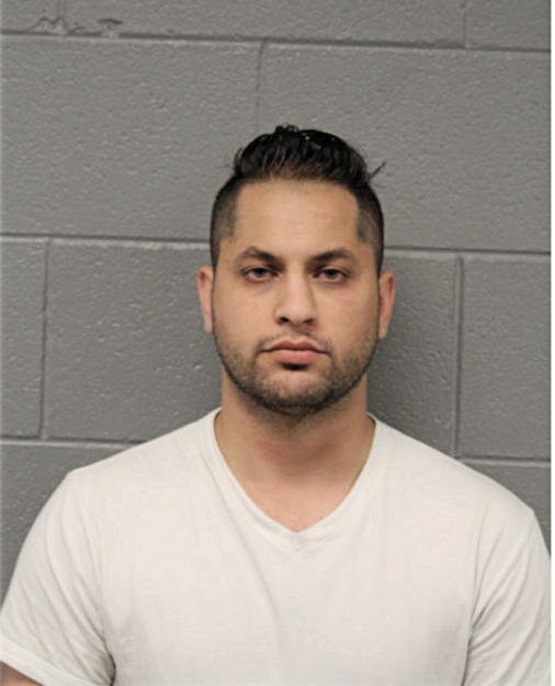 DAVID A HERMAN, Cook County, Illinois