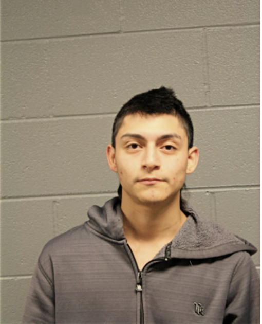 JOSUE HERNANDEZ, Cook County, Illinois