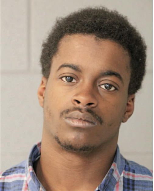 DAVID L KING, Cook County, Illinois
