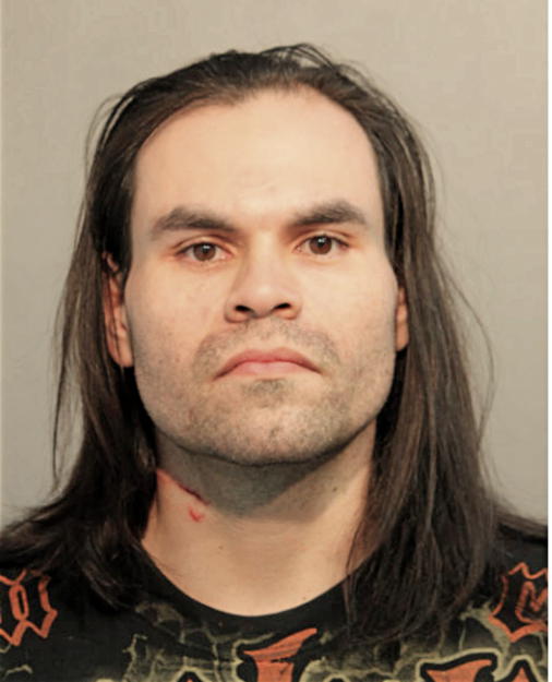 BRIAN L PIPKIN, Cook County, Illinois