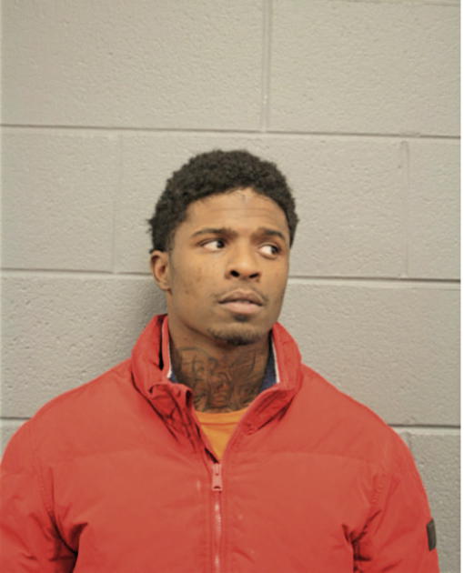 SHAUN L POPE, Cook County, Illinois