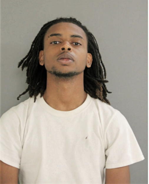LORENZO ALEX RODRIQUES, Cook County, Illinois