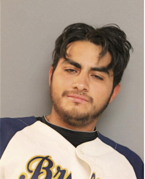 LEONARDO RUIZ, Cook County, Illinois