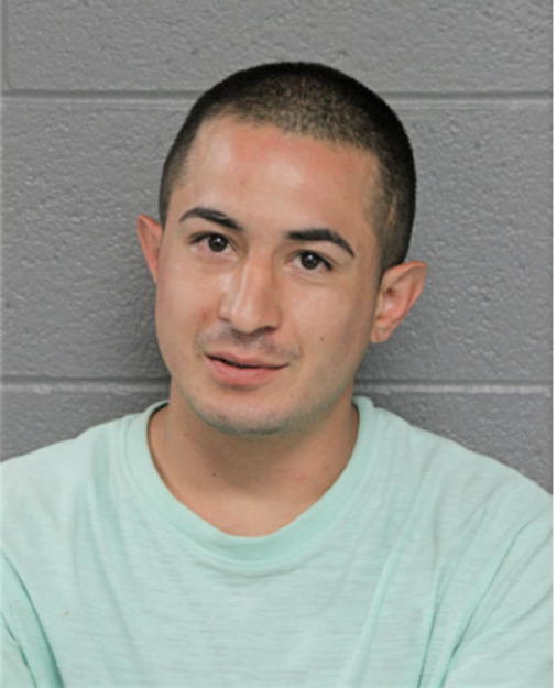 JUAN C SANCHEZ, Cook County, Illinois
