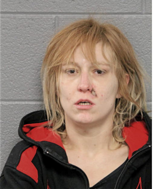 NICOLE L SNELSON, Cook County, Illinois