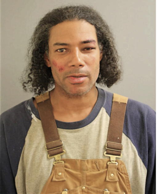 JOHN T LIGGINS, Cook County, Illinois