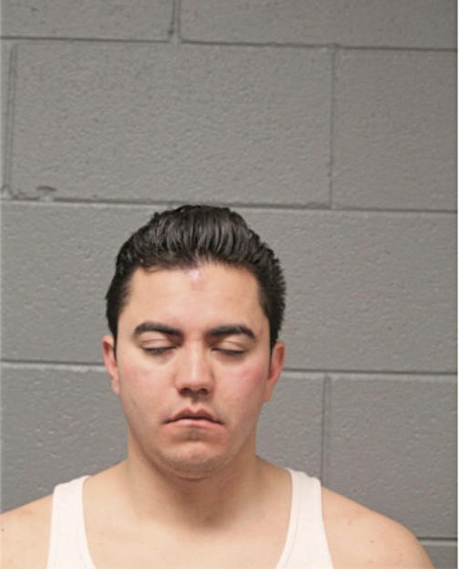 JAVIER E ZAVALA, Cook County, Illinois