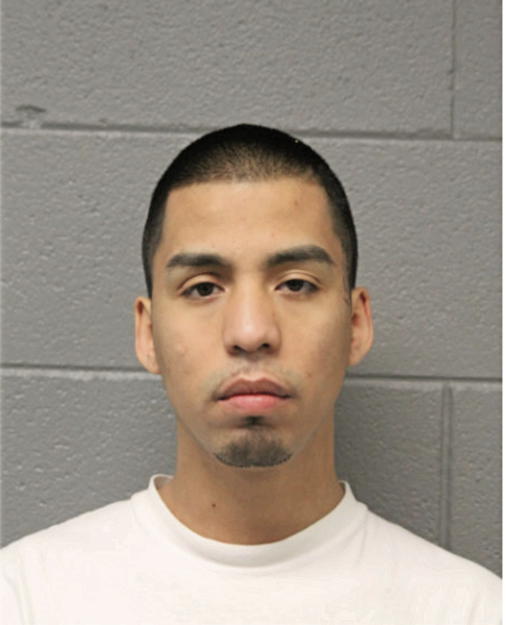 YOVANI ANDRADE, Cook County, Illinois