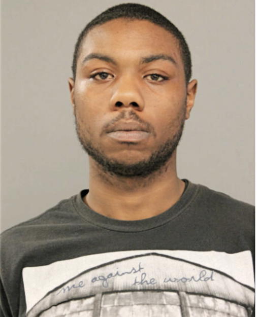 PAUL D BOSS, Cook County, Illinois