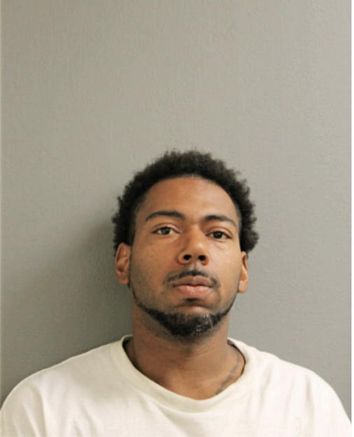 ROBERT R BRANCH, Cook County, Illinois