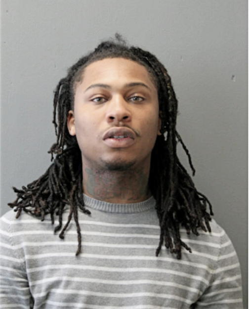 CHAZ N BROWNRIDGE, Cook County, Illinois