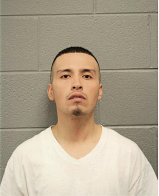 ALEJANDRO FLORES, Cook County, Illinois