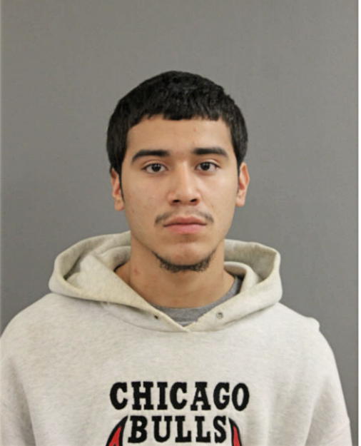 BRIAN FLORES, Cook County, Illinois