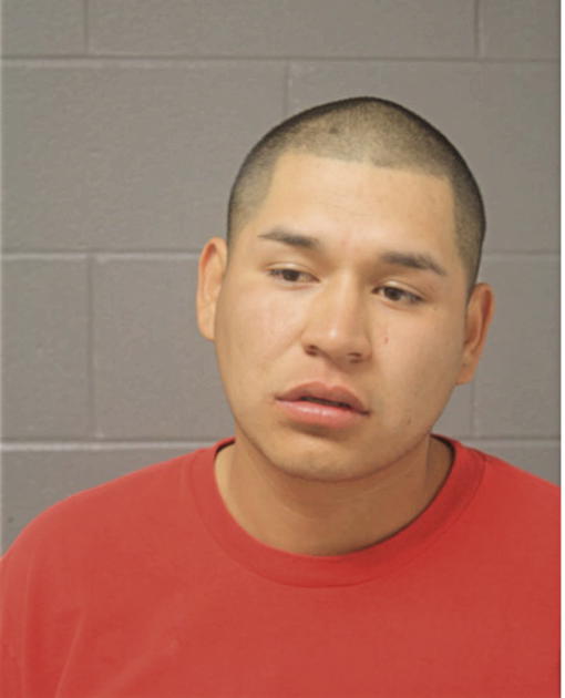 ROGELIO GRANADOZ, Cook County, Illinois