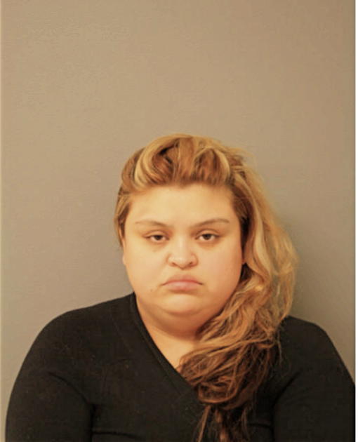 GABRIELA T HERNANDEZ, Cook County, Illinois