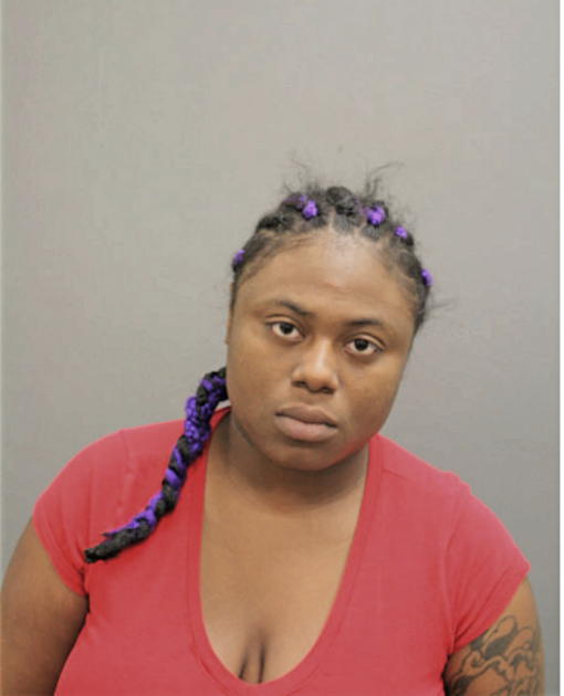 BRIANNA S HILL, Cook County, Illinois