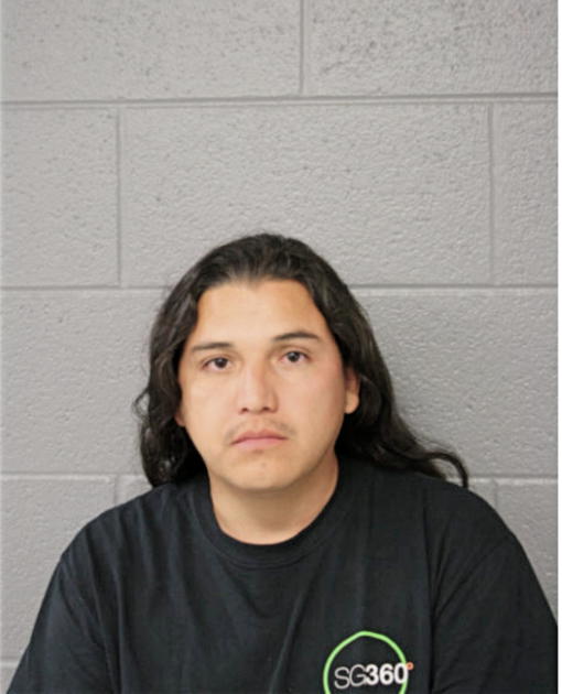 JOSE L IBARRA-VARGAS, Cook County, Illinois