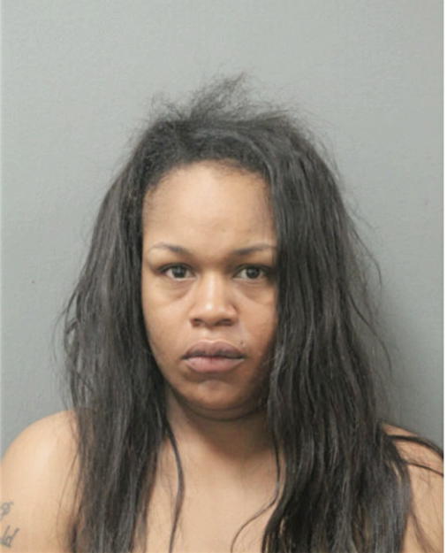 BRIANNA D JOHNSON, Cook County, Illinois