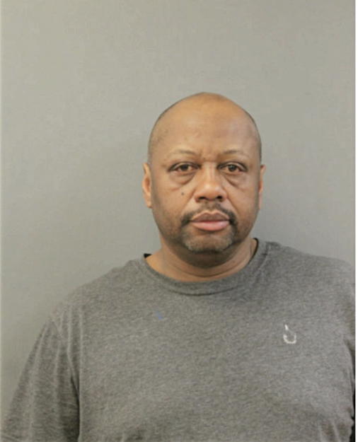 STEVE A JOHNSON, Cook County, Illinois