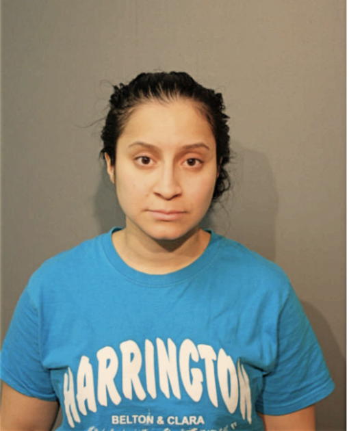 VANESSA M JOHNSON, Cook County, Illinois