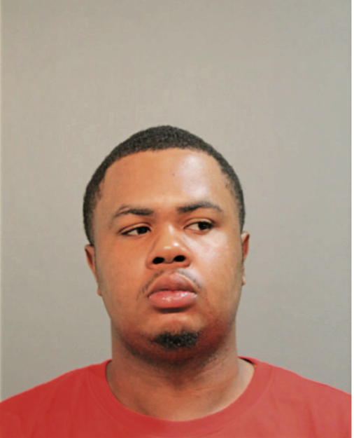 WALI W LEE, Cook County, Illinois