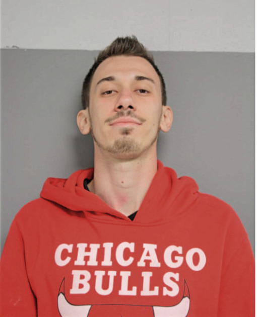EDIN MAJDANAC, Cook County, Illinois