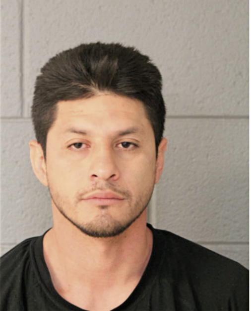 MARIO ORTEGA, Cook County, Illinois