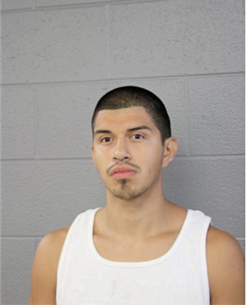 ANDREW C RAMIREZ, Cook County, Illinois