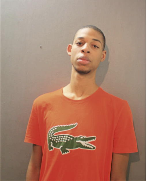 DERRICK C WOODS, Cook County, Illinois
