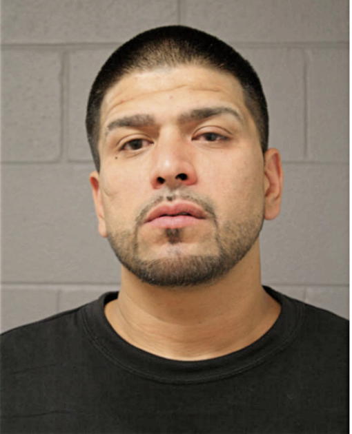 ROBERT J AGUERO, Cook County, Illinois